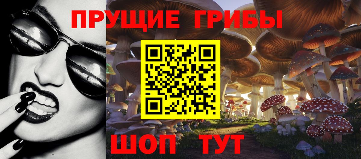 Псилоцибиновые грибы Psilocybe  Галлюциногенные грибы Cubensis  Вход с VPN  Электросталь 